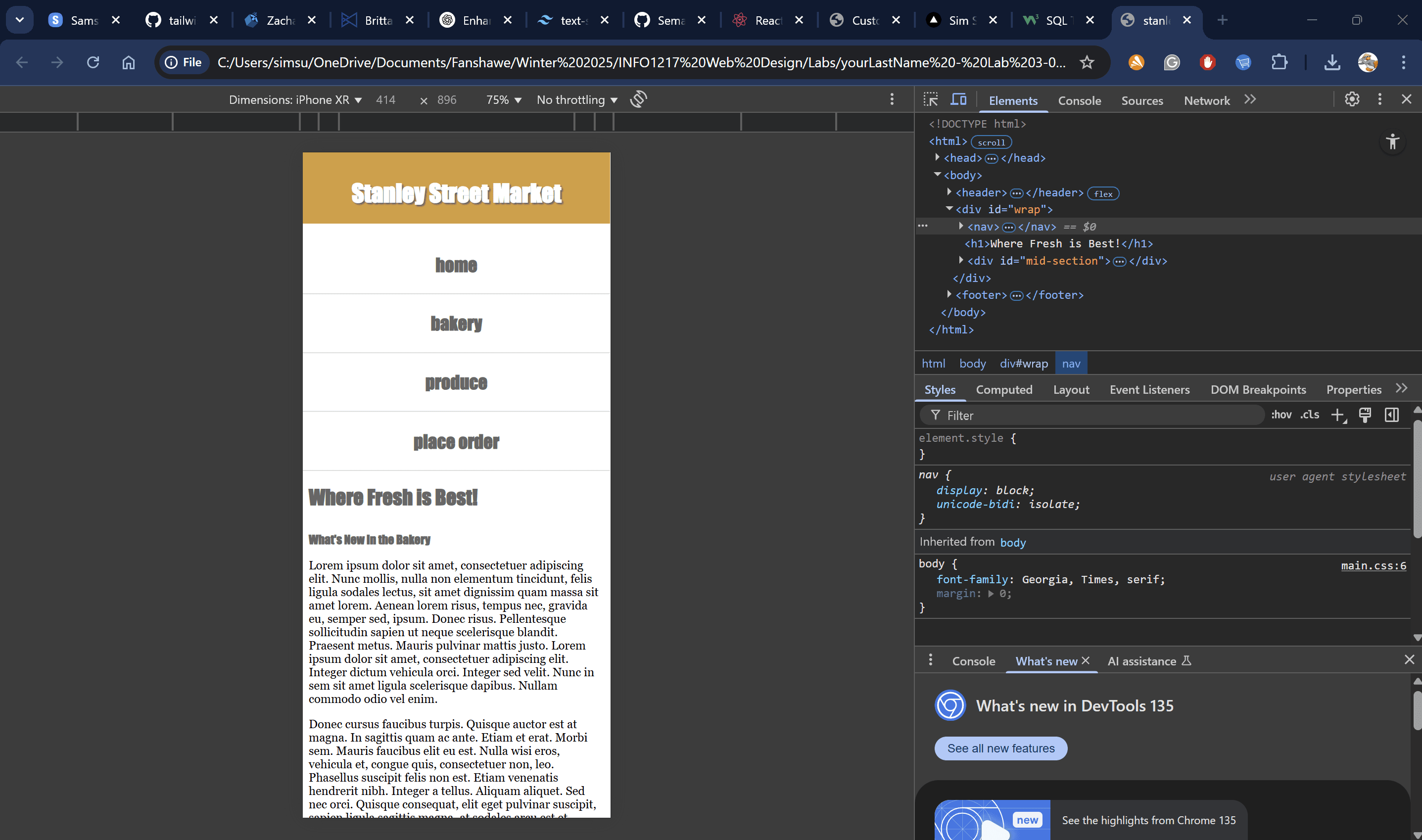 Screenshot of Web Design Lab 3